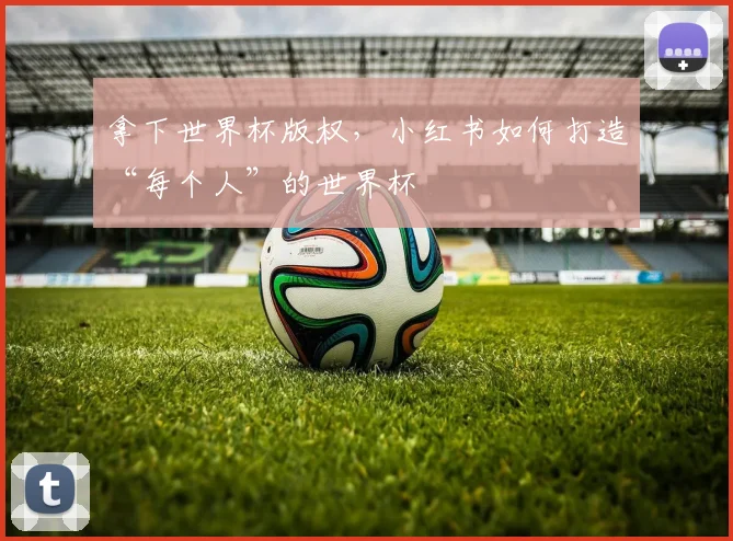 拿下世界杯版权,小红书如何打造“每个人”的世界杯