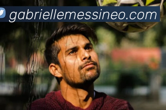 华体官网登录平台生态图